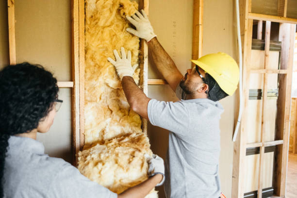 Best Attic Insulation Installation  in Milton Freewater, OR